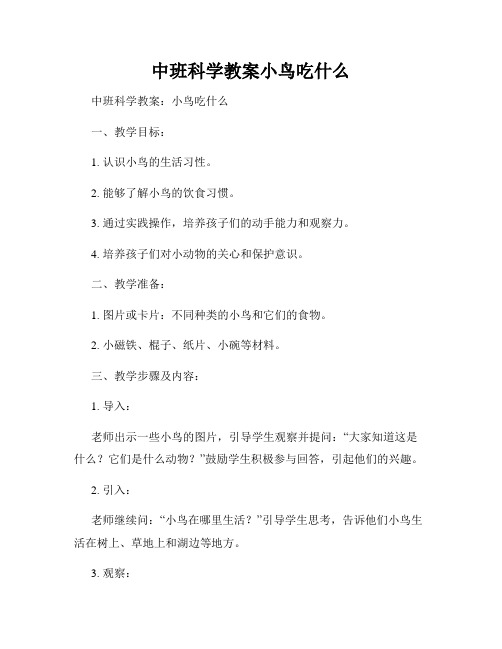 中班科学教案小鸟吃什么