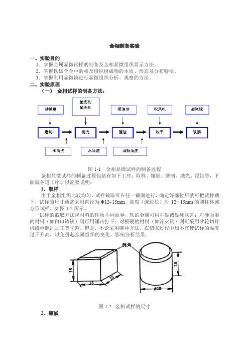 金相制备实验