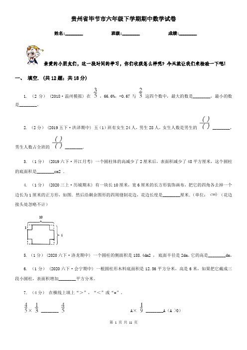 贵州省毕节市六年级下学期期中数学试卷