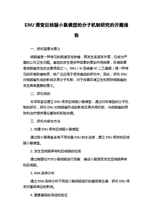 ENU诱变巨结肠小鼠模型的分子机制研究的开题报告