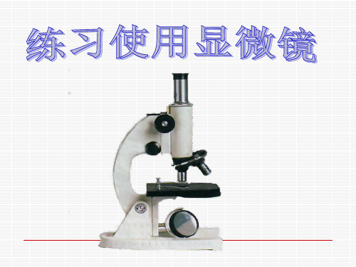 人教七上生物.1显微镜结构图及使用方法课件(人教版生物)