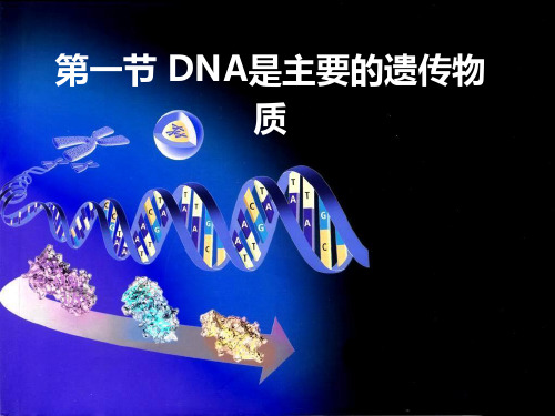 人教版高中生物必修二第三章第一节《DNA是主要的遗传物质》课件