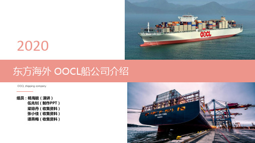 国际货运东方海外 OOCL船公司介绍