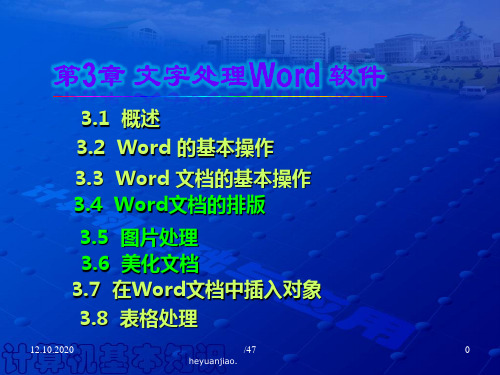 第3章文字处理软件Word1028(10高职)精品PPT课件