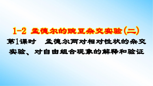 1-2 第1课时 孟德尔两对相对性状的杂交实验、对自由组合现象的解释和验证