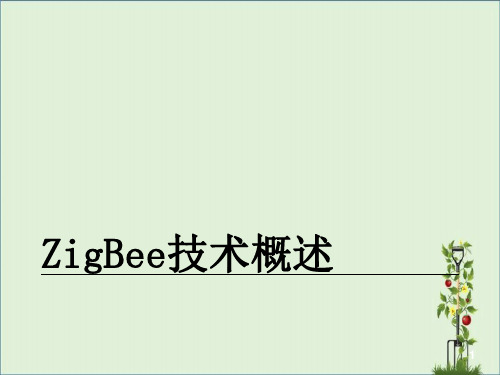 09ZigBee技术概述报告