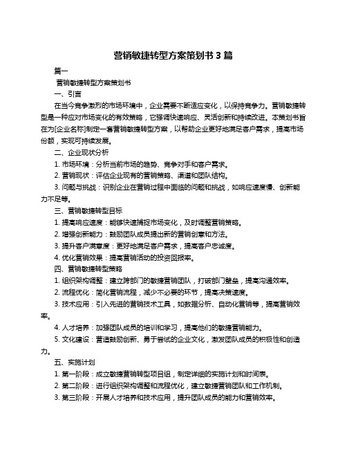 营销敏捷转型方案策划书3篇