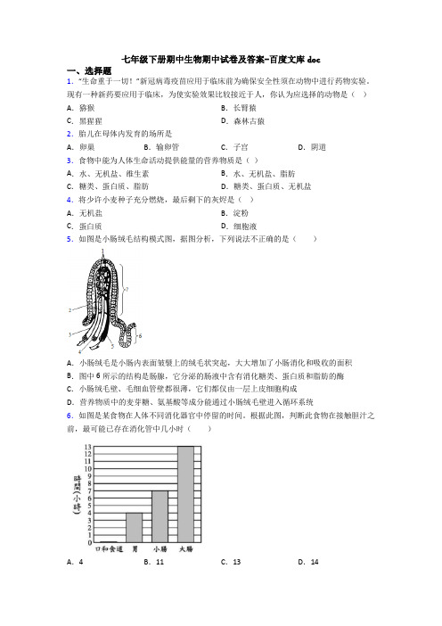 七年级下册期中生物期中试卷及答案-百度文库doc