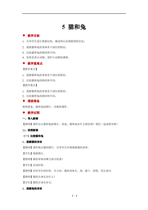 猫和兔+示范教案教学设计