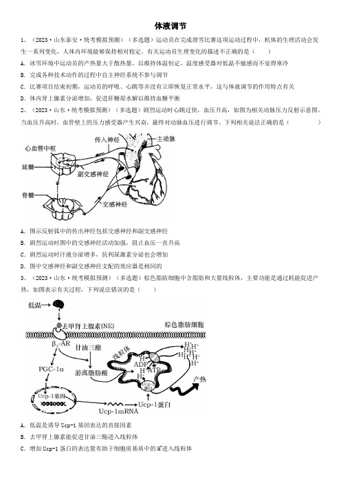 备考2024年高考生物一轮复习知识点精炼专题25 体液调节(精练)含详解