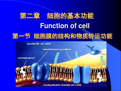 生理学课件第一节细胞膜的结构和物质转运功能