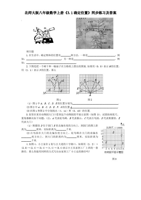 北师大版八年级数学上册《3.1确定位置》同步练习及答案