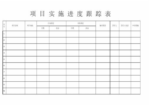 项目实施进度跟踪表