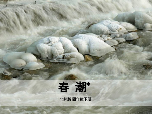 北师大版四年级语文下册《 春潮  春 潮》公开课课件_28