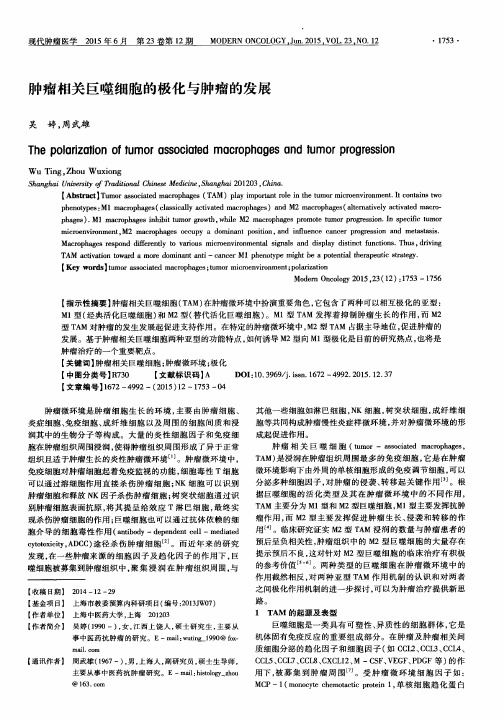 肿瘤相关巨噬细胞的极化与肿瘤的发展