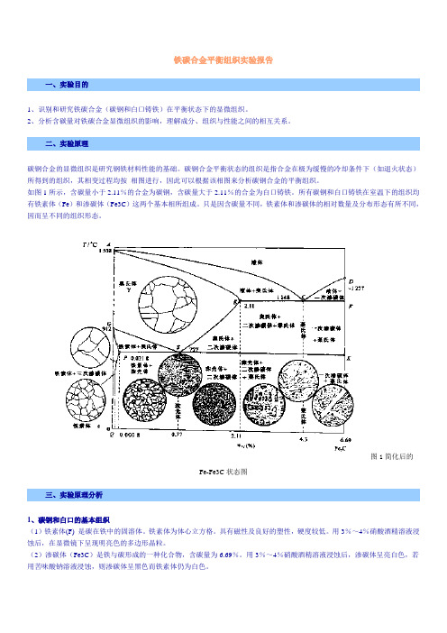 铁碳合金平衡组织实验报告