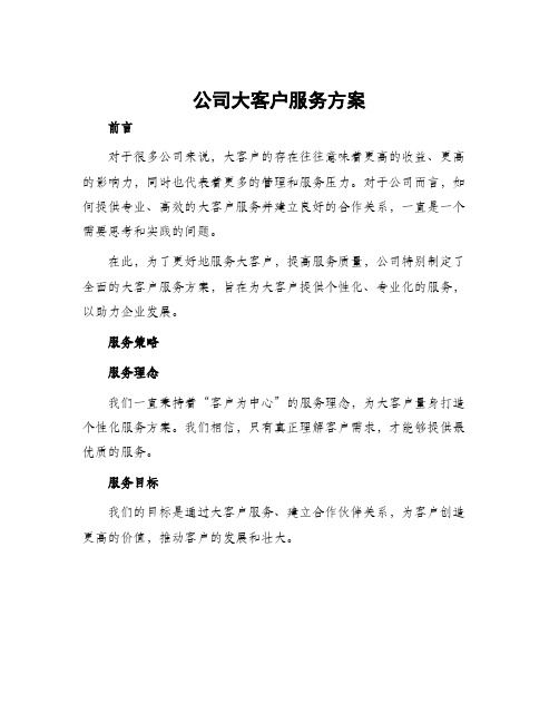 公司大客户服务方案