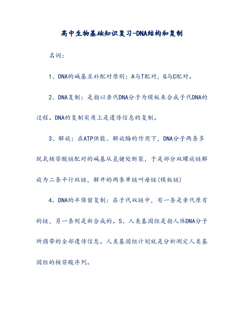高中生物基础知识复习-DNA结构和复制