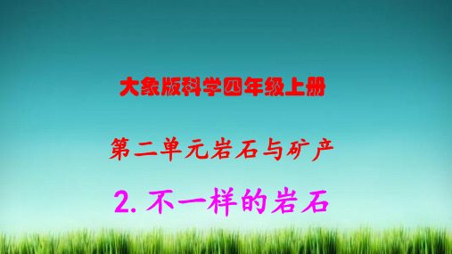 大象版科学四年级上册2.2不一样的岩石练习题及答案