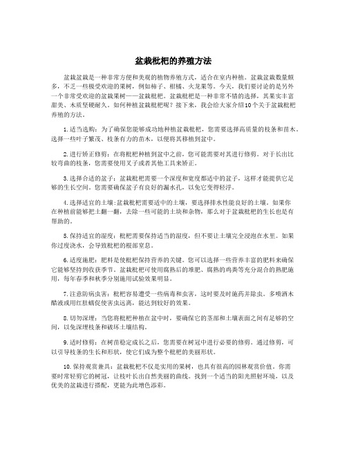 盆栽枇杷的养殖方法