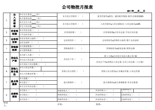 公司物控月报表