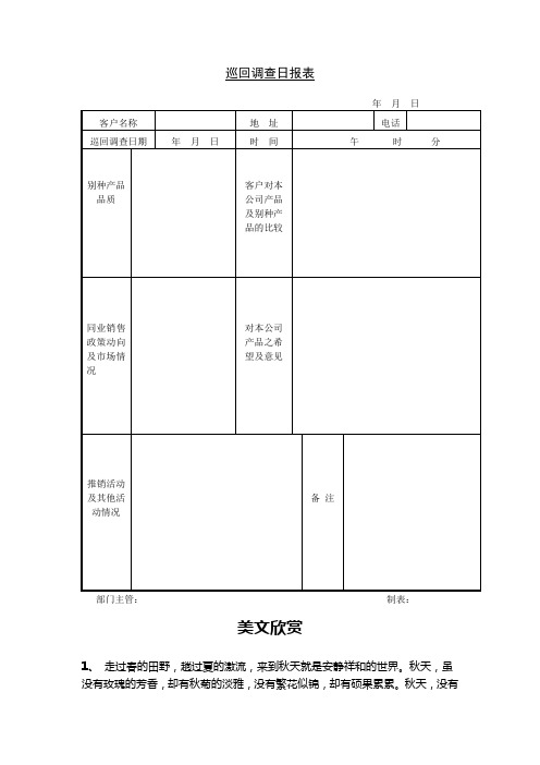 巡回调查日报表