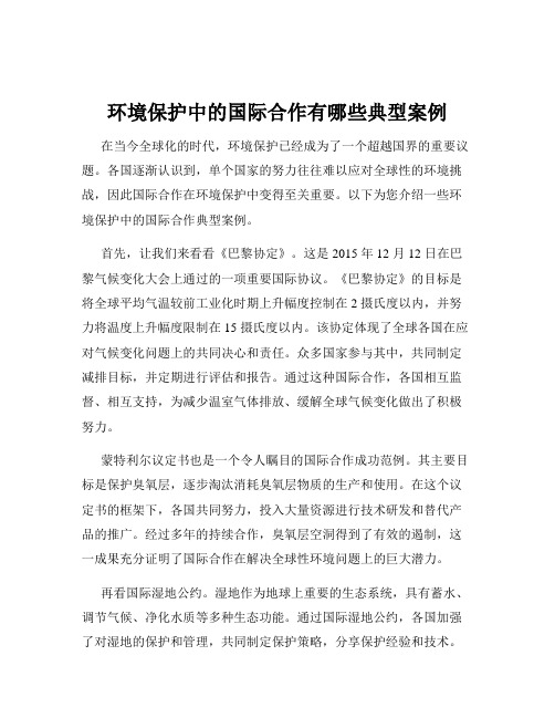 环境保护中的国际合作有哪些典型案例