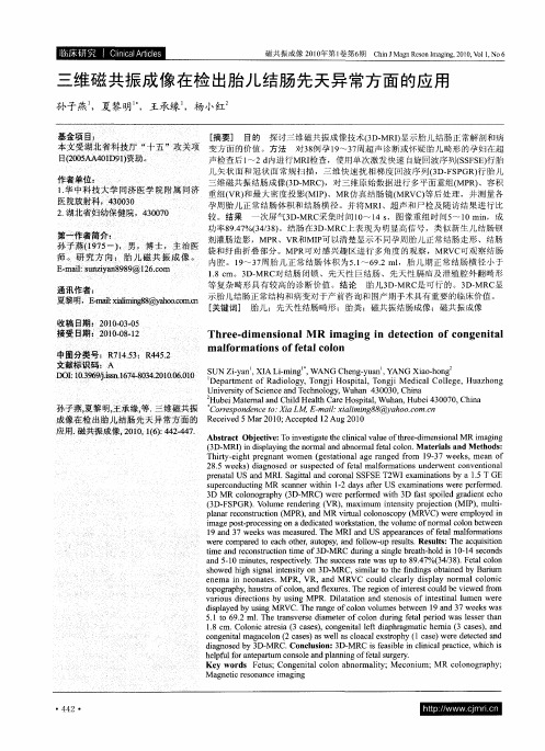 三维磁共振成像在检出胎儿结肠先天异常方面的应用