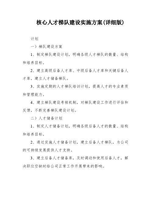 核心人才梯队建设实施方案(详细版)