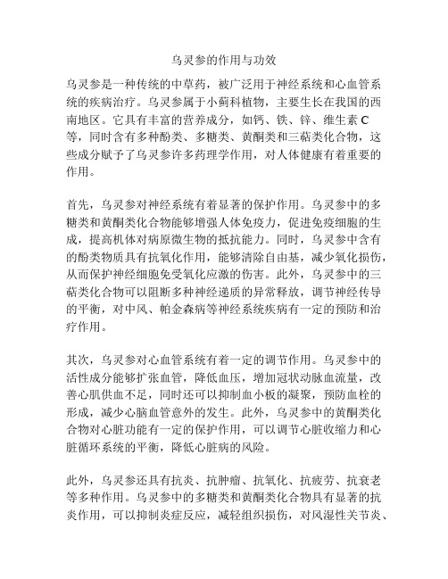 乌灵参的作用与功效