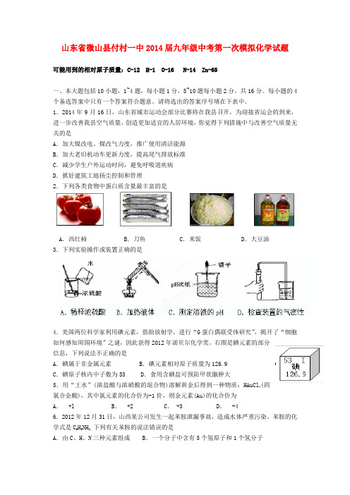 山东省微山县付村一中中考化学第一次模拟试题