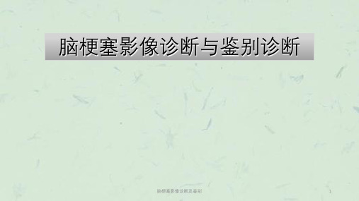 脑梗塞影像诊断及鉴别课件