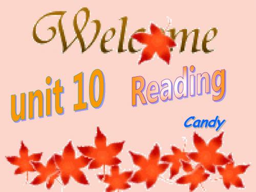 高二英语上UNIT 10 READING课件