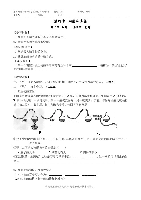 细菌和真菌 导学案