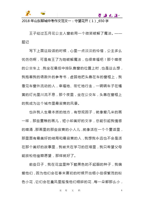 2018年山东聊城中考作文范文一