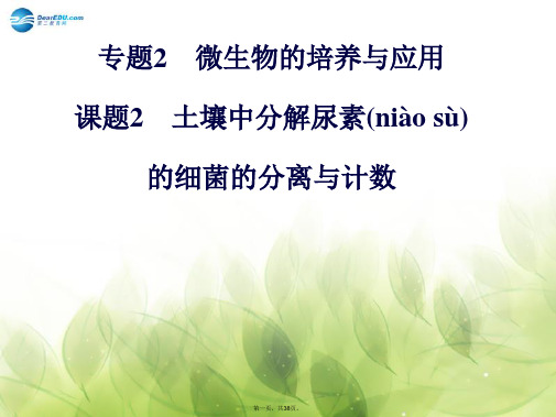高中生物 专题二 课题2 土壤中分解尿素的细菌的分离与计数课件 新人教版选修1
