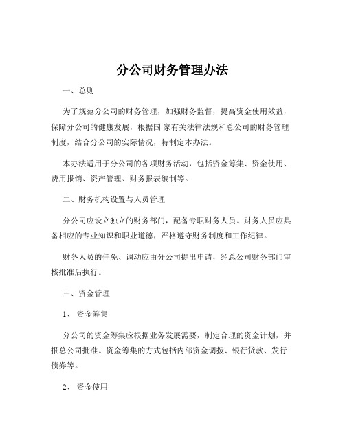 分公司财务管理办法