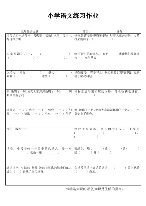 小学三年级语文精作细练III (15)