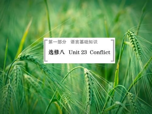 Unit23 Conflict课件 北师大版选修8课件