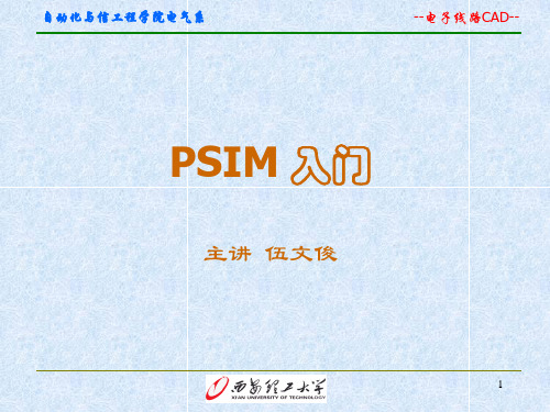 PSIM入门