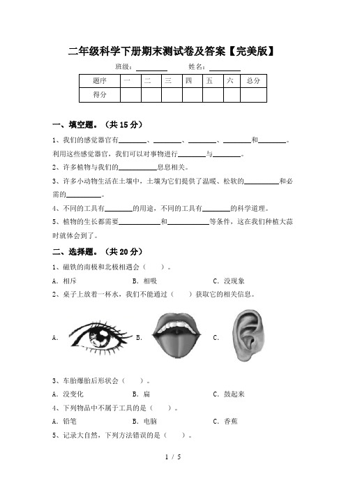 二年级科学下册期末测试卷及答案【完美版】