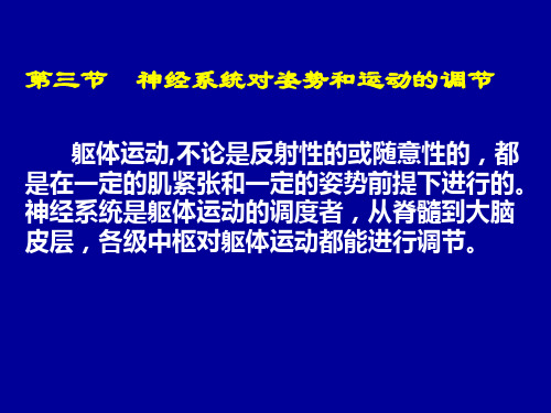 神经系统对姿势和运动的调节