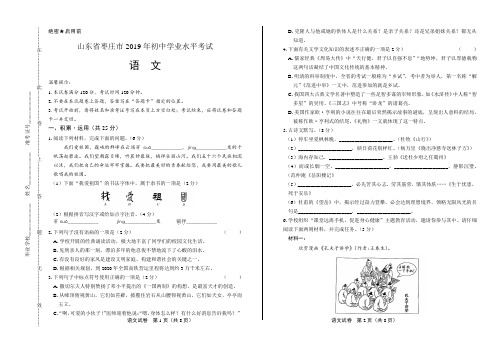 2019年山东省枣庄市中考语文试卷