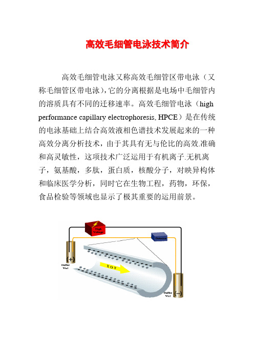 高效毛细管电泳技术简介