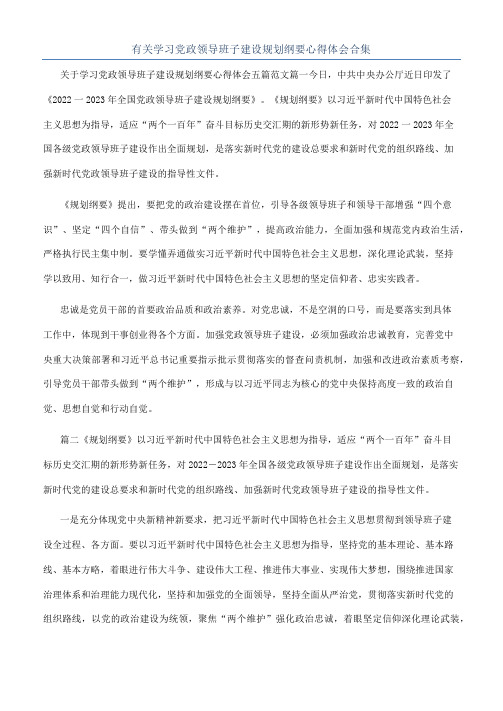 有关学习党政领导班子建设规划纲要心得体会合集