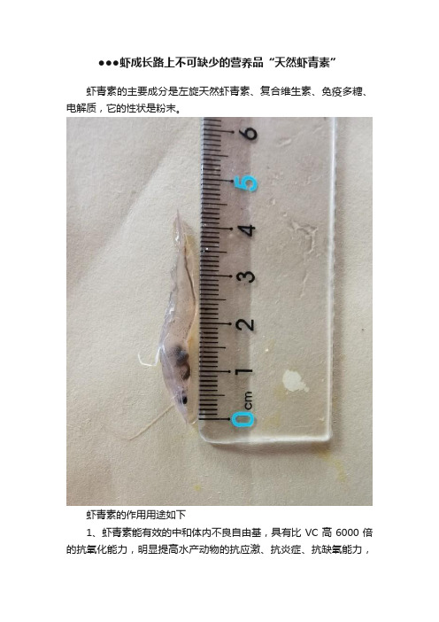 ●●●虾成长路上不可缺少的营养品“天然虾青素”