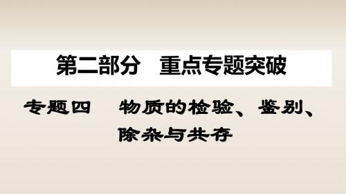 中考化学专题复习物质的检验、鉴别、除杂与共存