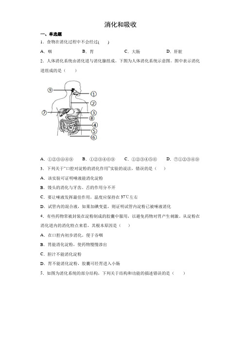 4.2.2 消化和吸收(练习)(原卷版)