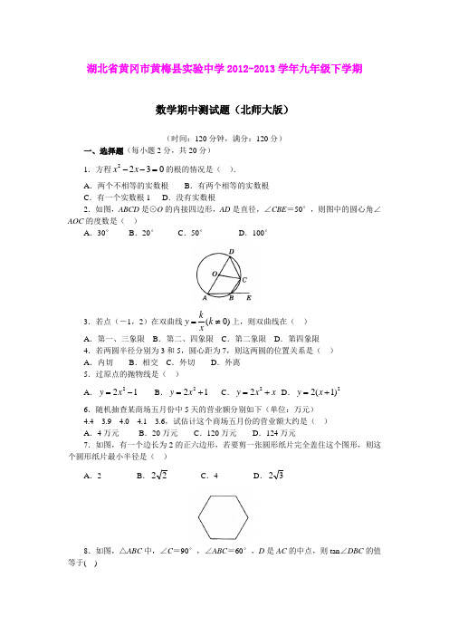 湖北省黄冈市黄梅县实验中学2012-2013学年九年级下学期数学期中测试题(北师大版)