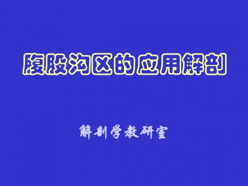 腹股沟区应用解剖与手术